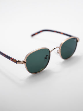 sunglasses / Brown Auryn Sunglasses