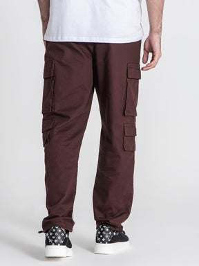 pants / Burgundy Utility Pants