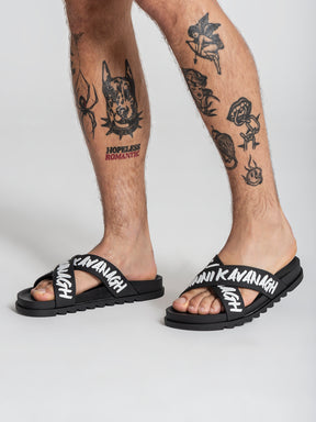 sliders / Black Rebel Sliders