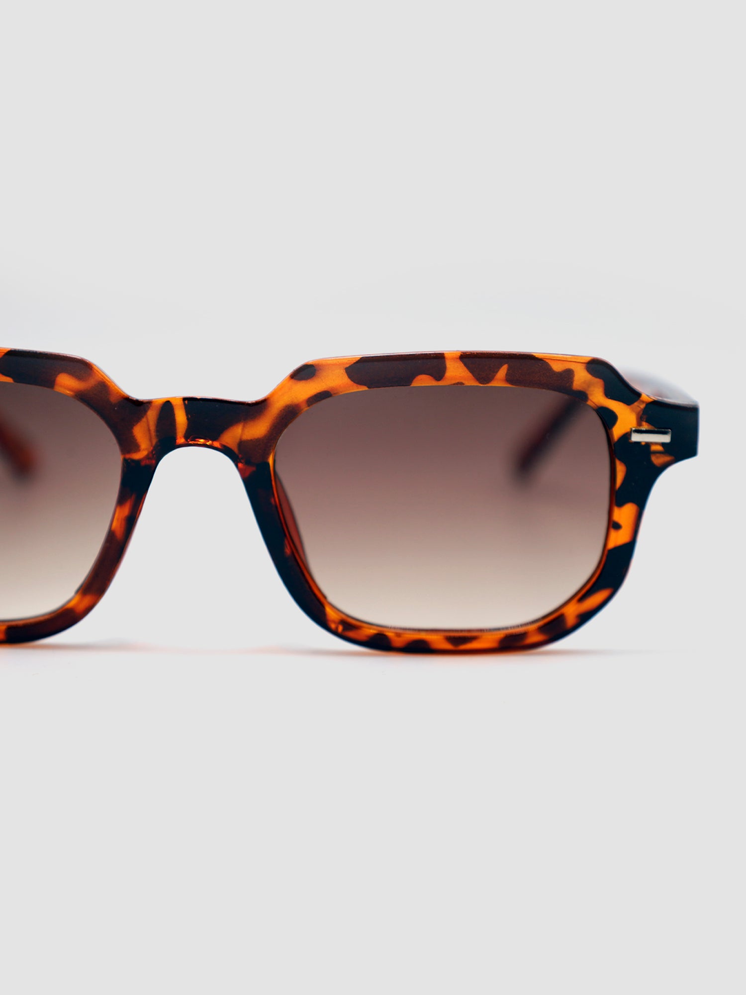 sunglasses / Brown Lior Sunglasses