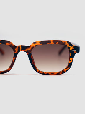 sunglasses / Brown Lior Sunglasses