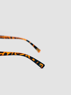 sunglasses / Brown Lior Sunglasses