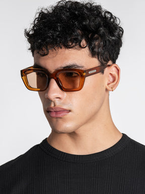 sunglasses / Brown Bold Sunglasses