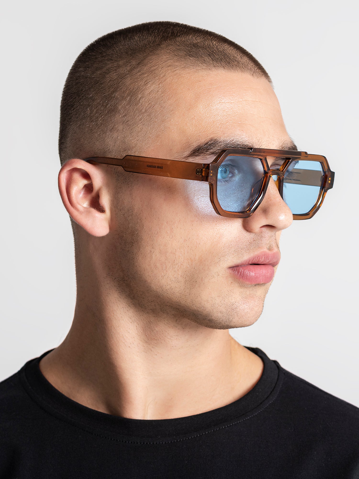 sunglasses / Brown Octo Sunglasses