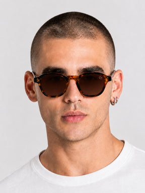 sunglasses / Brown Cirel Sunglasses