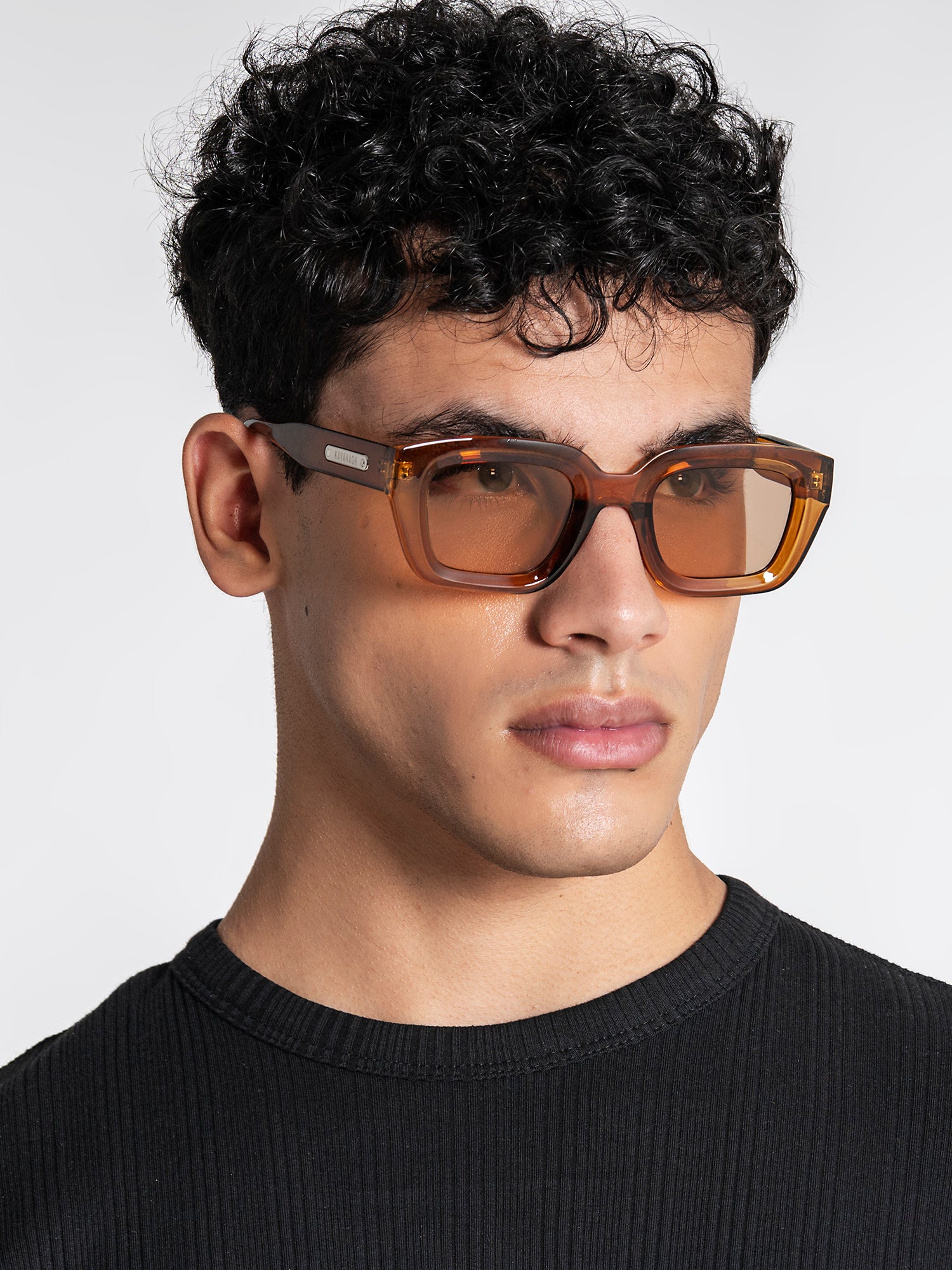 sunglasses / Brown Bold Sunglasses